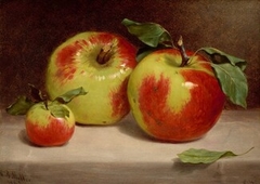 Study of Apples from Nature by William Rickarby Miller