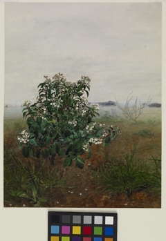 The Flowering Shrub by Léon Bonvin