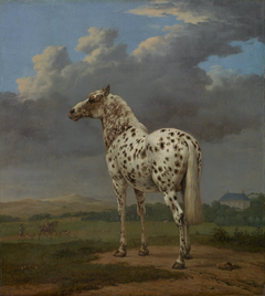 The "Piebald" Horse by Paulus Potter
