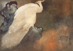 White peacock by Abanindranath Tagore