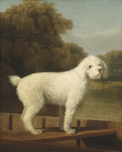 White Poodle in a Punt by George Stubbs