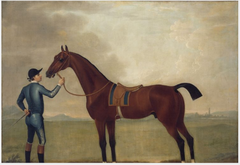 A Bay Racehorse with a Jockey in the Colours of Wyndham Quin by Daniel Quigley