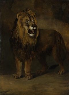 A lion from the Menagerie of King Louis Napoleon, 1808