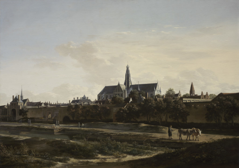A View of Haarlem
