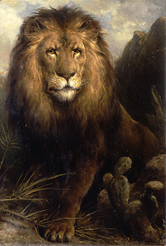 Abessynische leeuw by Otto Erelman