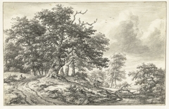 Boslandschap met grote boom by Jacob Isaacksz. van Ruisdael