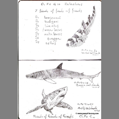 Carnet Bleu: Encyclopedia of…shark, vol.IV p05 by Pascal by Pascal Lecocq
