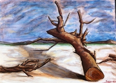 Dead Tree on the beach by Tasso Pappas