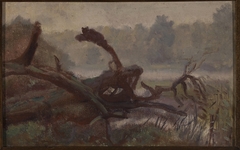 Deep forest – Windthrows, sketch for a painting by Józef Chełmoński