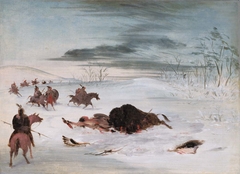 Dying Buffalo Bull in a Snowdrift