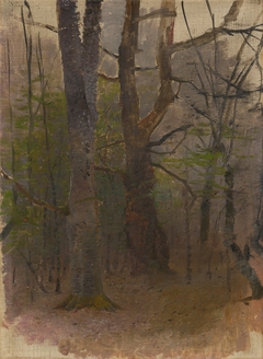 Early Spring. Forest by László Mednyánszky