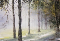 Forest Mist by Ivan Grozdanovski
