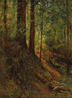Forest Scene by D. Howard Hitchcock
