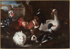 Fowl with a rabbit and guinea pig.