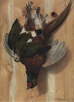 Hanging Game Birds (Pheasant)