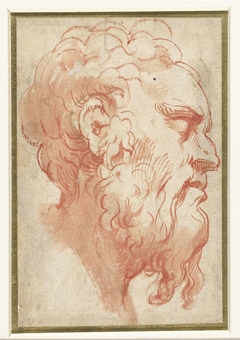 Hoofd van een oude man, en profil naar rechts by Parmigianino