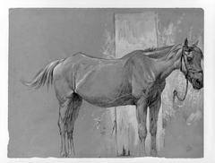 Horse, Fort Stanton, New Mexico by Peter Moran