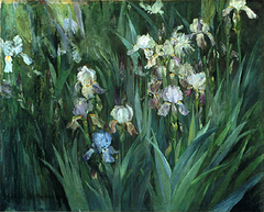 Iris at Dawn by Maria Oakey Dewing