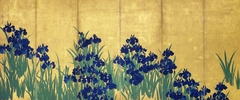 Irises screen