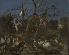 Konzert der Vögel by Franz de Hamilton