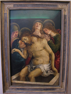 Lamentation of Christ by Liberale da Verona