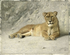 Lioness Resting by Jan van Essen