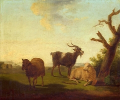 Pasture with sheep and a goat. by Louis Robbe