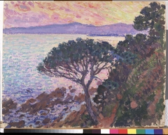 Pine-Tree near the Mediterranean Sea at Sunset by Théo van Rysselberghe