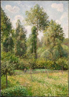 Poplars, Éragny by Camille Pissarro