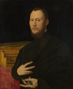 Portrait of a Musician by Bernardino Campi