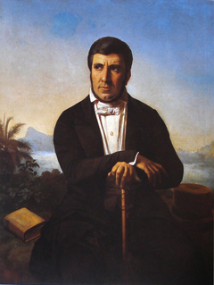 Portrait of Manuel de Araújo Porto-Alegre by Ferdinand Krumholz