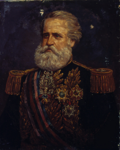 Retrato de D.Pedro II, 1879 by Antônio de Souza Lobo