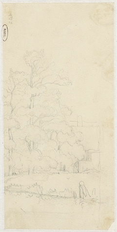 Schets van hoge bomen voor een huis by Jacob Jan van der Maaten