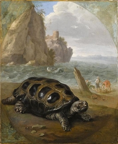 Sea turtle by Nicasius Bernaerts