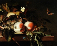 Still Life with Fruit, Grapes and Foliage with Flies and Butterflies