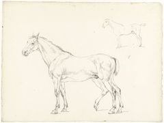 Studie van twee paarden, naar links