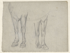 Studies van een paard by Jan Kuyper