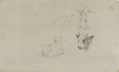 Studies van koeien by Albert Gerard Bilders