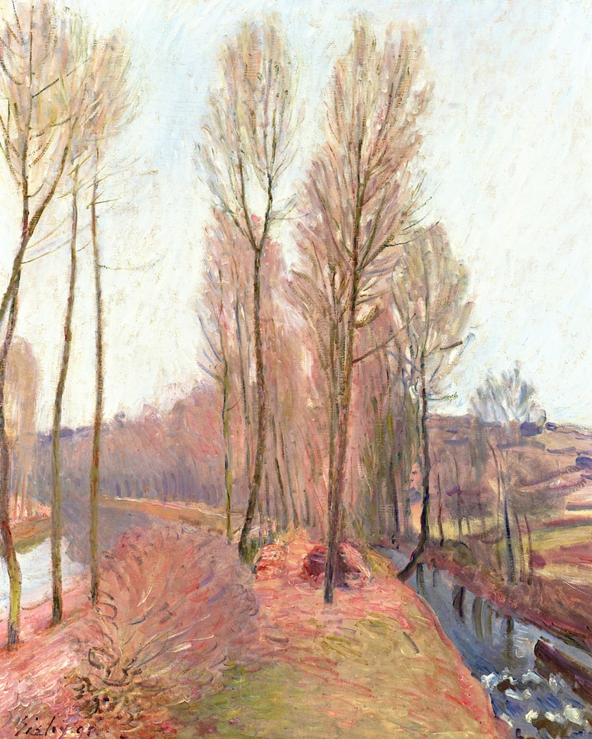 The Orvanne and the Loing Canal in Winter