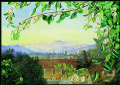 The Permanent Snows from Santiago; Patagua in front with Humming Bird and Nest by Marianne North