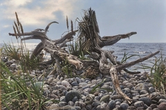 Tidal Roots by Brian LaSaga