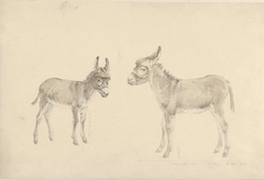 Twee ezels by Josephus Augustus Knip