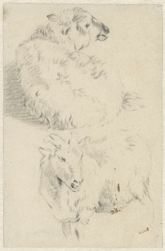 Twee studies van een schaap by Abraham Krayestein