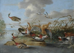 Waterfowl and Dogs by Jan van Kessel the Younger