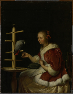 A Lady with her Parrot by Frans van Mieris the Elder