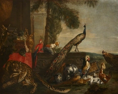 A Peacock and other Birds by attributed to Pieter Boel