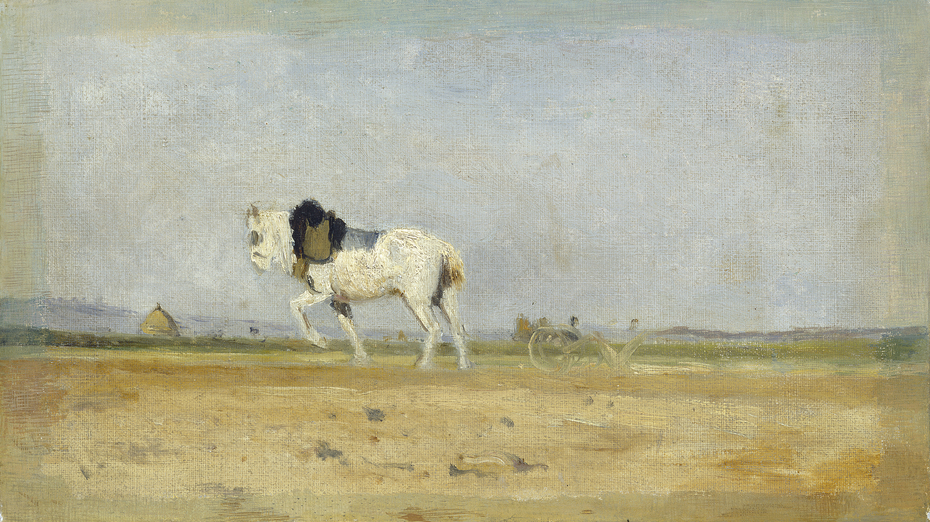 A Plow Horse in a Field