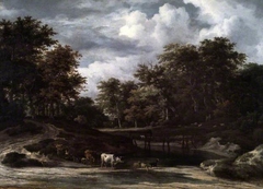 A Wooded Landscape by Jacob van Ruisdael
