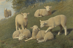 April: Lambs in the Home Park at Windsor by Friedrich Wilhelm Keyl