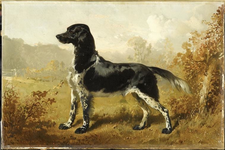 Dash, chien du duc d'Aumale